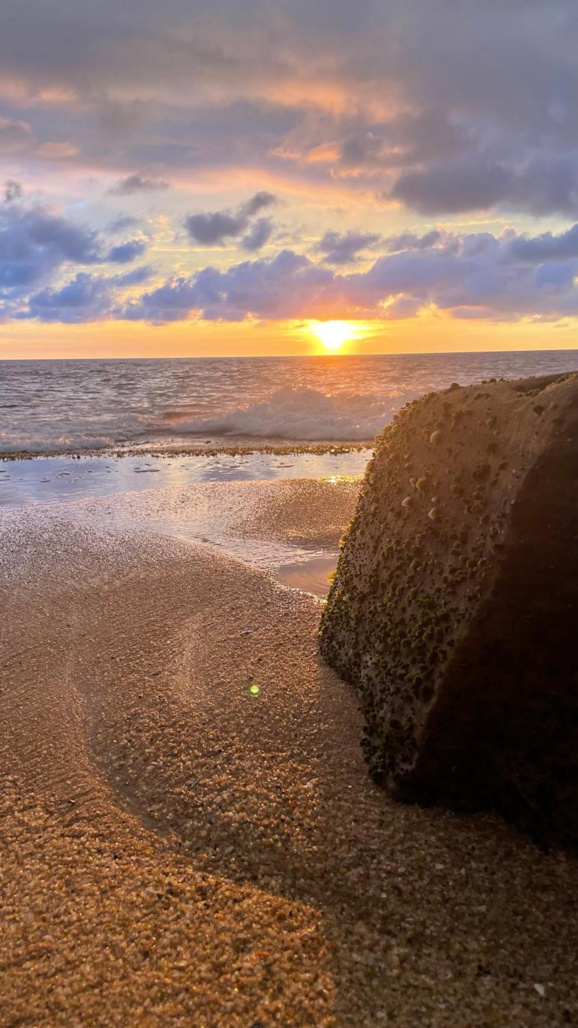 Negombo Morawala Beach Villa المظهر الخارجي الصورة